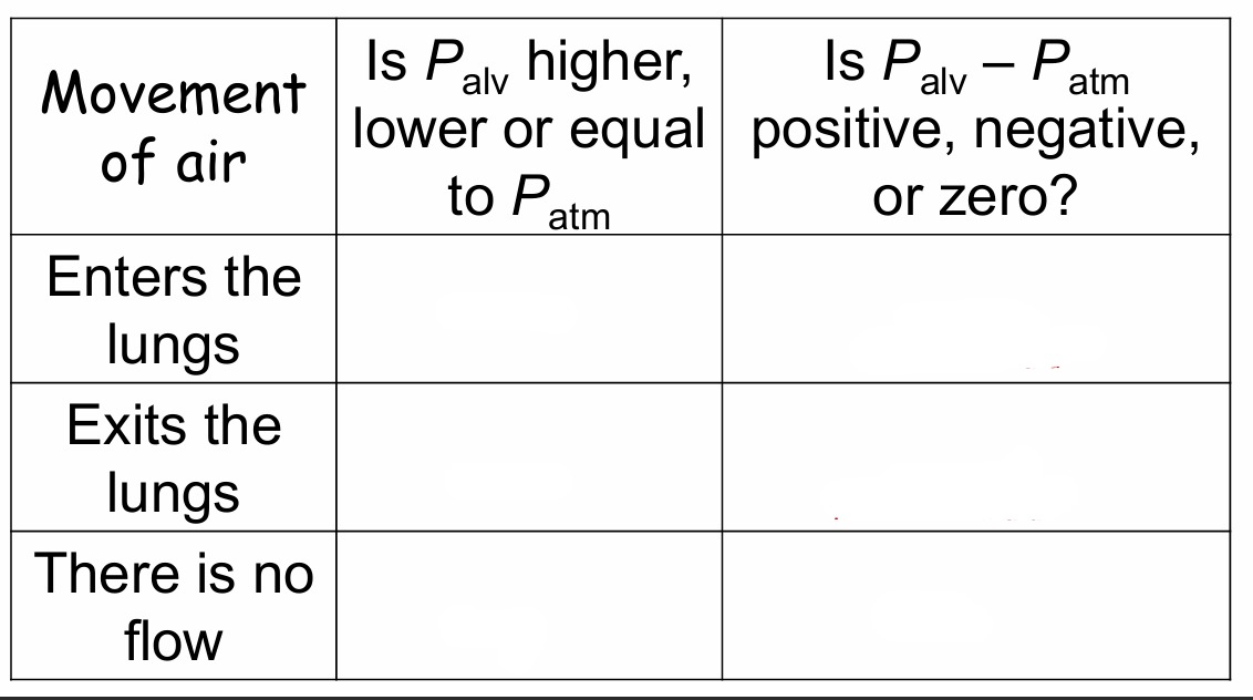 <p>Fill out the table</p>
