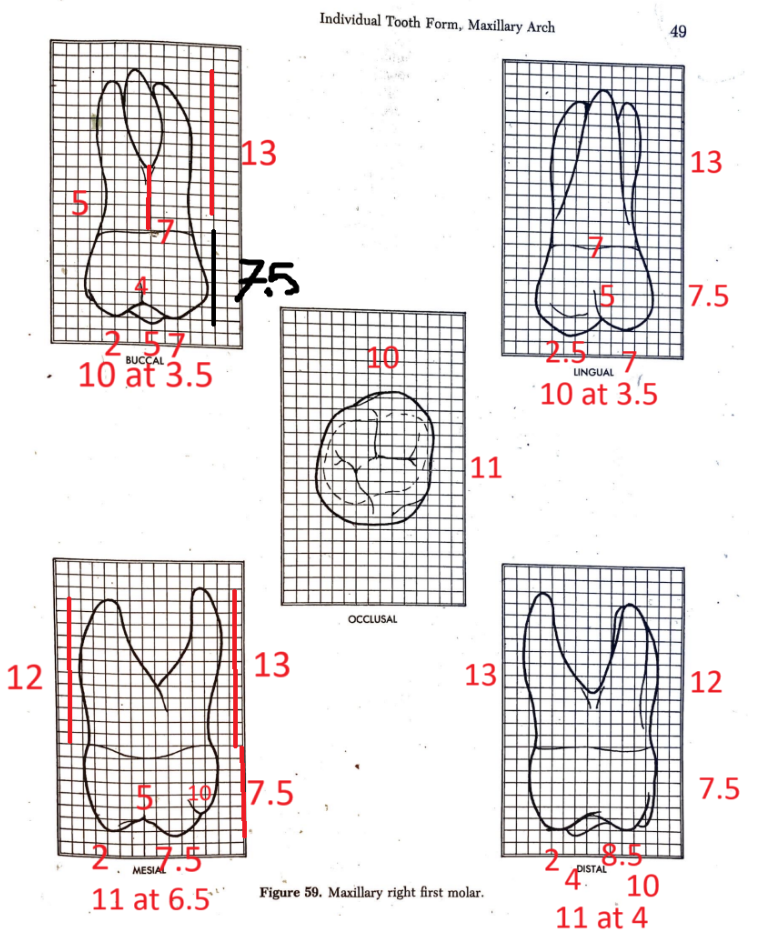 knowt flashcard image