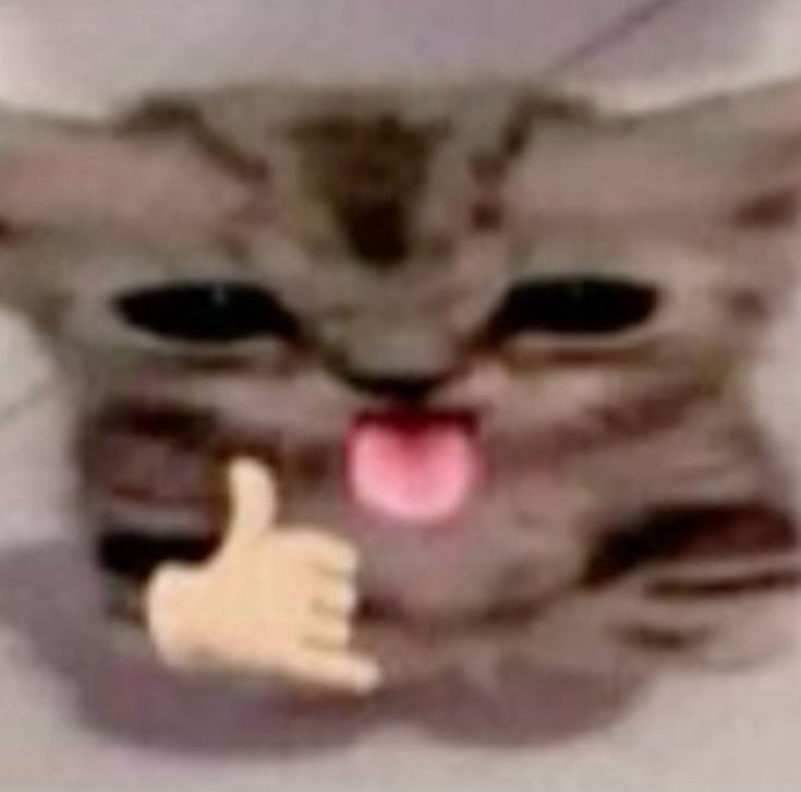 <p><span style="color: red"><strong>WHAT IS THE 1st LINE TREATMENT FOR CDI?</strong></span></p>