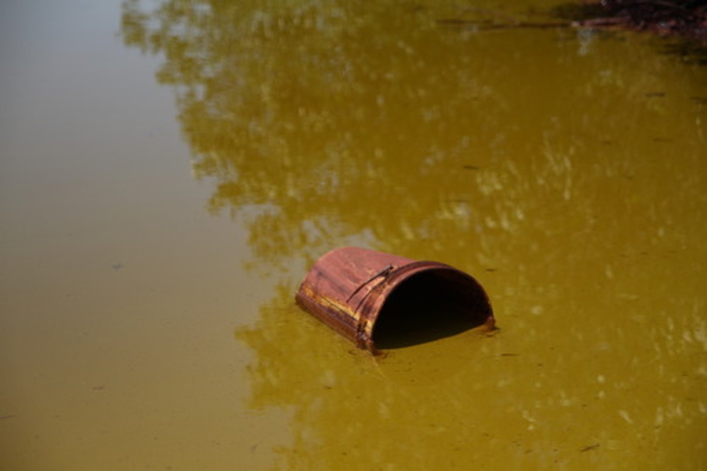 <p>Nước bẩn, có váng</p><p>ex: The pond was full of scummy water and smelled terrible.→ Ao đầy nước bẩn có váng và bốc mùi kinh khủng.</p>