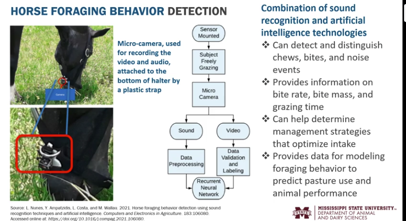 <p>Horse foraging behavior detection</p>