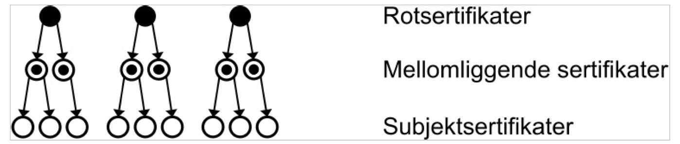 <p>For hver beskrivelse, angi riktig sertifikat (der Ingen også er et alternativ).</p><ul><li><p><span><strong>Inneholder webtjeners offentlige nøkkel</strong></span></p></li><li><p><span>Inneholder webtjeners private nøkkel</span></p></li><li><p><span>Er signert av webtjener</span></p></li><li><p><span>Er selvsignert</span></p></li><li><p><span>Er signert av rot-CA (ikke selvsignert)</span></p></li><li><p><span><strong>Brukes til signering av subjektsertifikater</strong></span></p></li></ul><p></p>