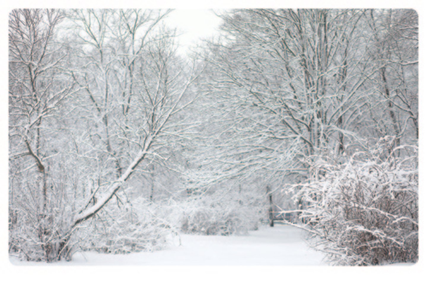 <p>/ˈwɪn.tər/ (UK), /ˈwɪn.tɚ/ (US) - mùa đông → in winter → It's cold in winter. (Trời lạnh vào mùa đông.)</p>