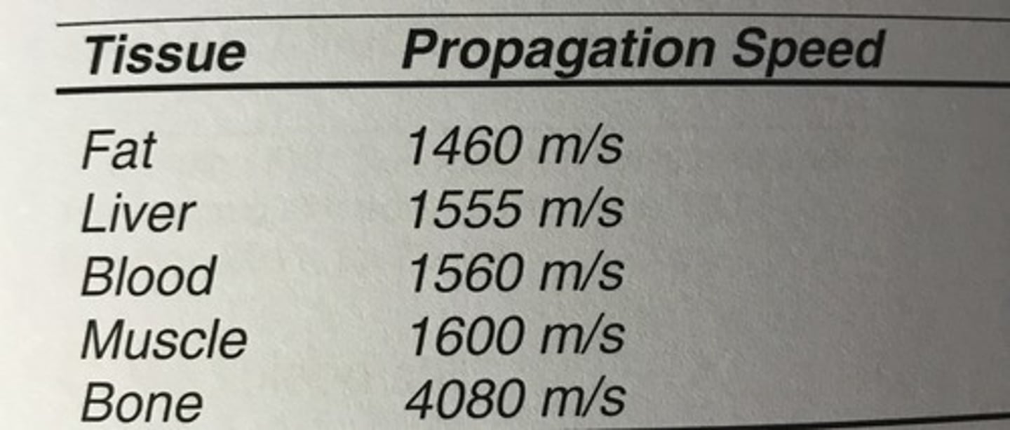 <p>Fat</p><p>Propagation speeds of commonly encountered human tissue:</p>