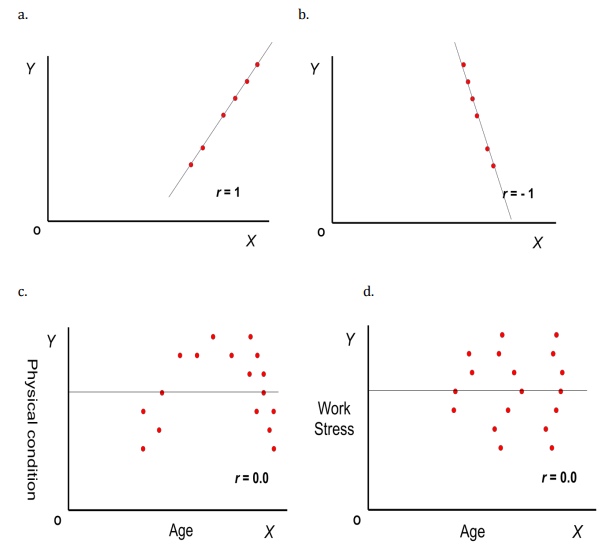 <p>Interpret the following graphs</p>