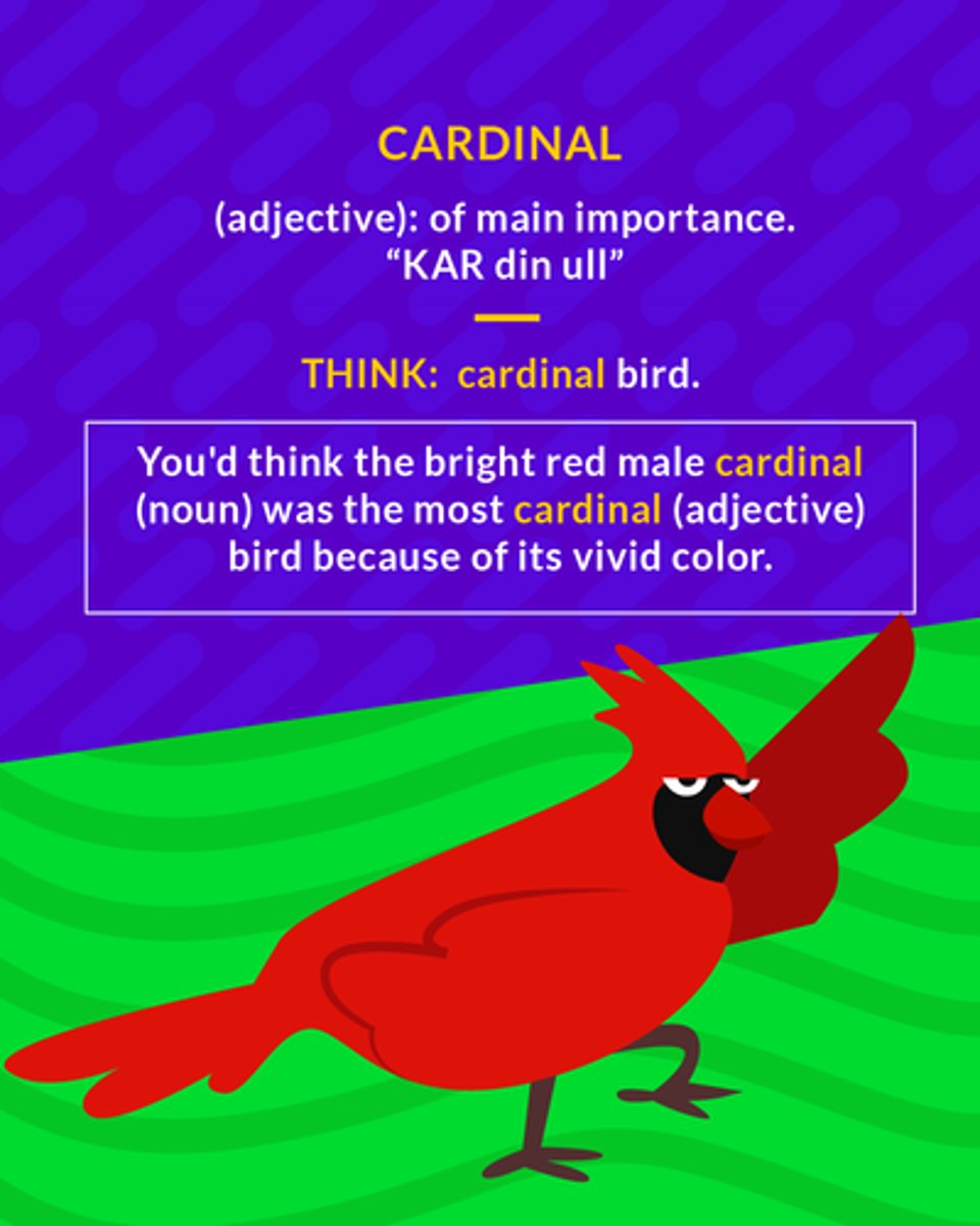 <p>most important; chief</p>