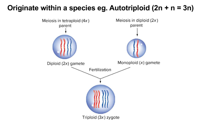 <p>form spontaeneously or in lab</p>