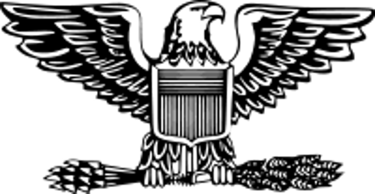 <p>Colonel - Silver Spread Eagle</p>