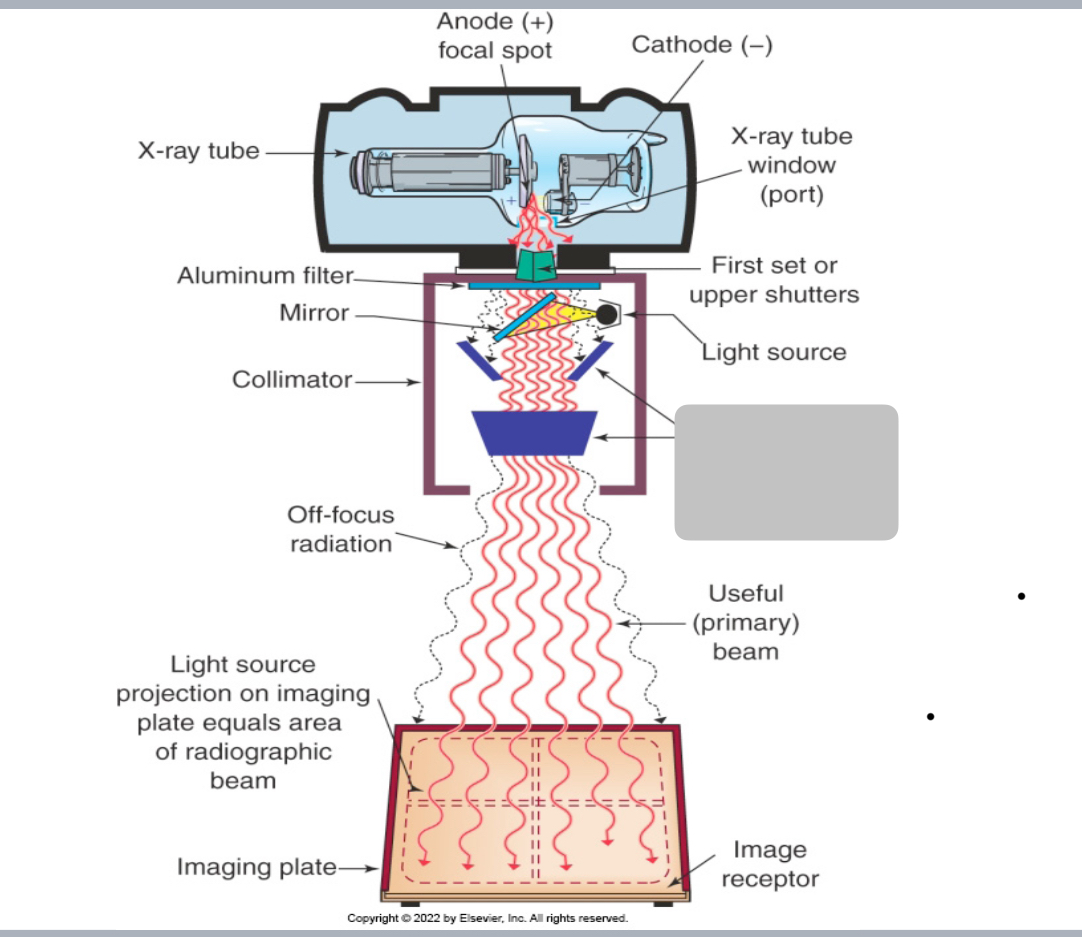 <p>What’s the grey out area</p>
