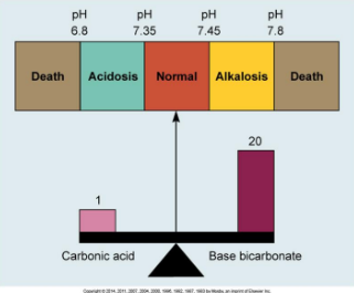 pH Range 1-14 / Neutral 7 / Blood 7.35-7.45