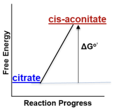 <p>Reactants lower energy than products (+∆Gº′) </p>