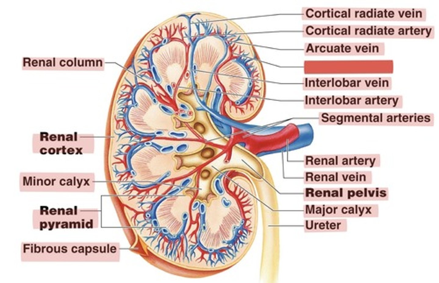 <p>What is this?</p>