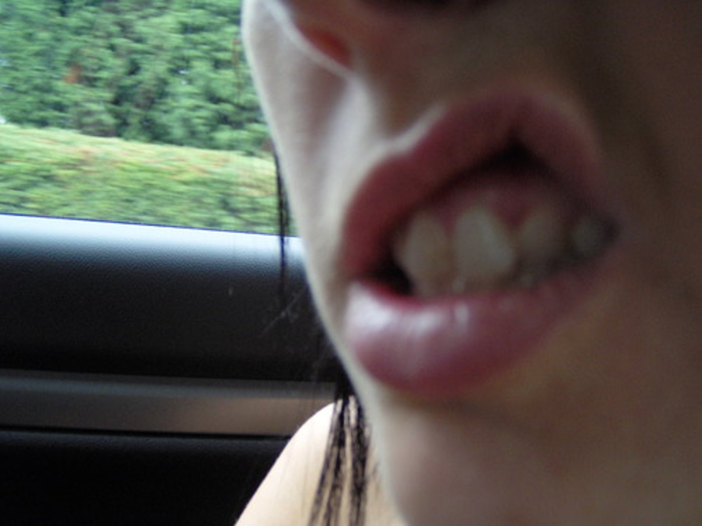 <p>the mouth</p>