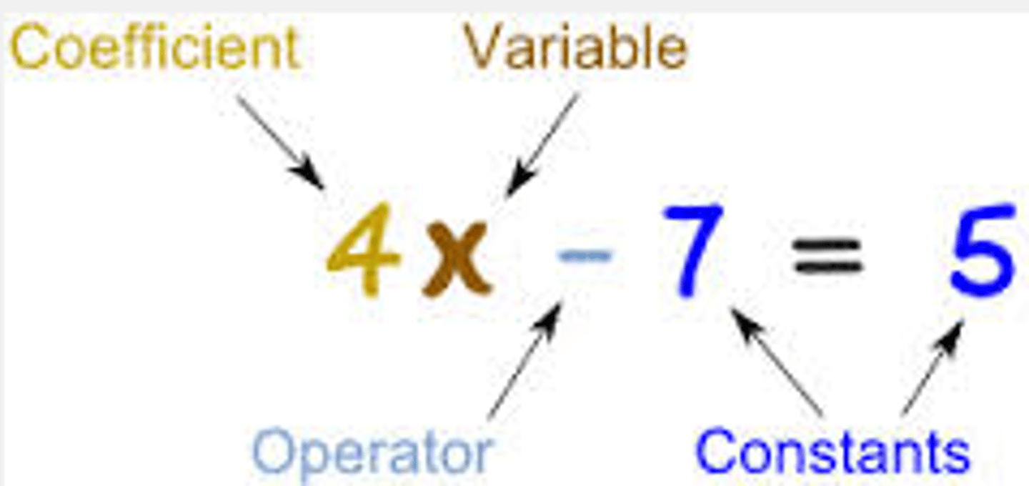 <p>A term of degree of zero</p>