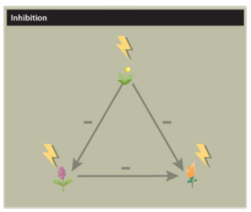 <p>Inhibition</p>