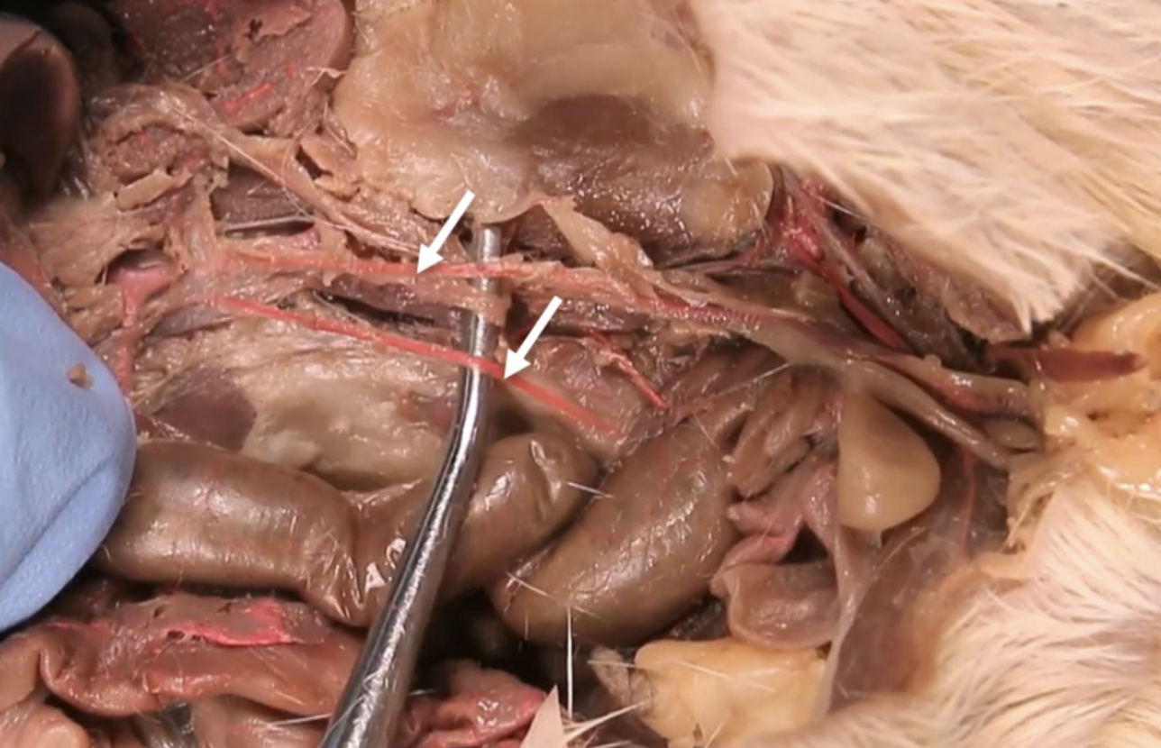 <p>What is this?</p>