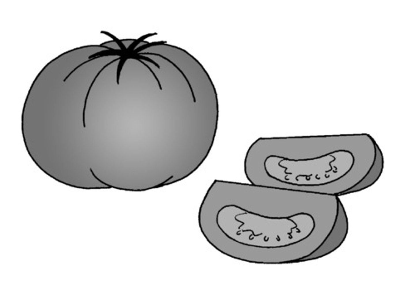 <p>tomato</p>