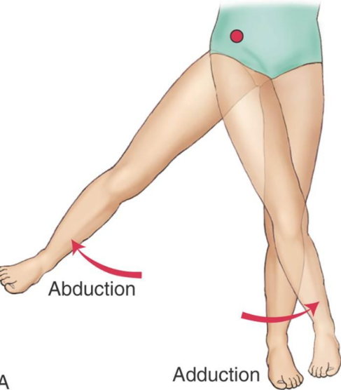<p>moving a segment of the body away from the midline of the body</p>