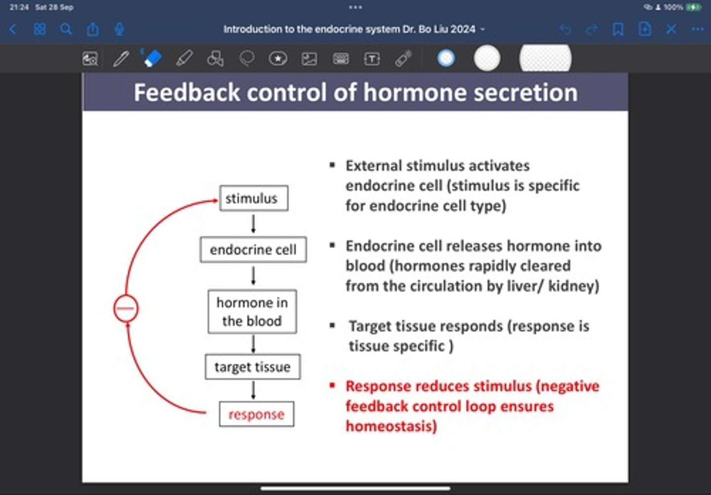 <p>- An increase in plasma glucose concentration is the external</p><p>stimulus</p><p>- The increase in plasma glucose concentration activates insulin-</p><p>secreting cells which increases insulin secretion</p><p>- This increase in insulin secretion increase plasma insulin</p><p>concentration</p><p>- The increase in plasma insulin concentration enables insulin to</p><p>reach its target cells consequently increasing the actions of insulin</p><p>to transport glucose from plasma to inside cells via glucose transporters = reduces the</p><p>stimulus of increased plasma glucose</p>