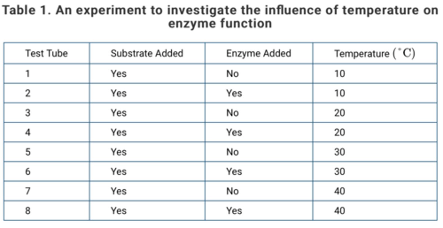 <p>Answer (C): Test tubes 1, 3, 5, and 7<br><br>Explanation: The test tubes that do not contain the enzyme are negative controls in the experiment. The negative controls help confirm that the results of the experiment are related to enzyme function and not some other factor.</p>