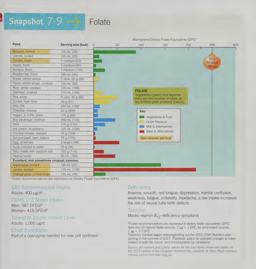 <ul><li><p>in order for new cells to be made, tissues must have folate</p></li><li><p>each new cell must have copies f parents cell’s DNA and folate helps to synthesize this DNA</p></li><li><p>cells that divide rapidly are most vulnerable to deficiency</p></li><li><p>folate very important for early embryonic growth to prevent neural tube defects (abnormalities of the brain and spinal cord apparent at birth), as well as for tissues with fast turnover rates (e.d intestine, skin, RBC)</p></li><li><p>critical for the normal metabolism of a number of amino acids</p></li></ul><p></p>