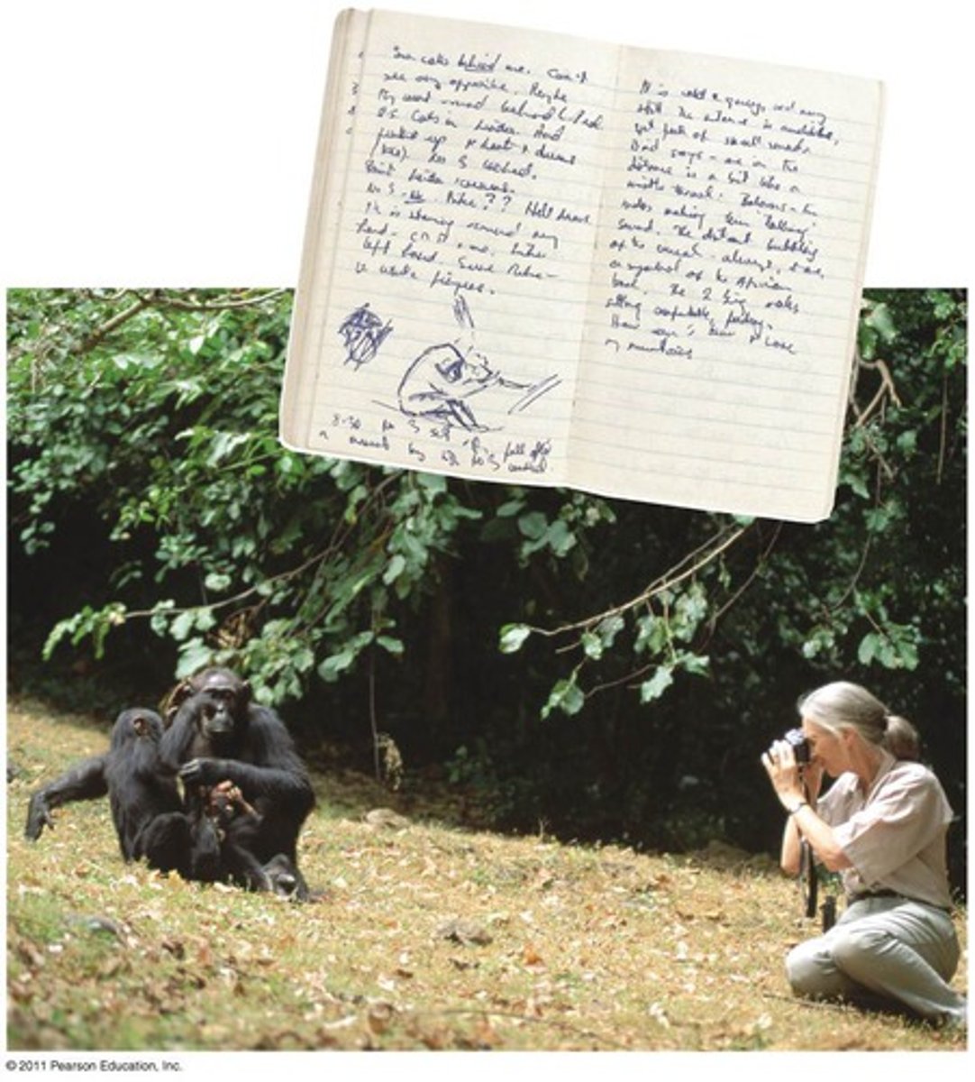 <p>Data associated with a more humanistic approach to geography, often collected through interviews, empirical observations, or the interpretation of texts, artwork, old maps, and other archives.</p>