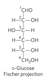 <p>bonds drawn <u>horizontally</u> indicate bonds that project <u>out</u> of the paper</p><p>bonds drawn <u>vertically</u> indicate bonds that project <u>into</u> the paper</p>