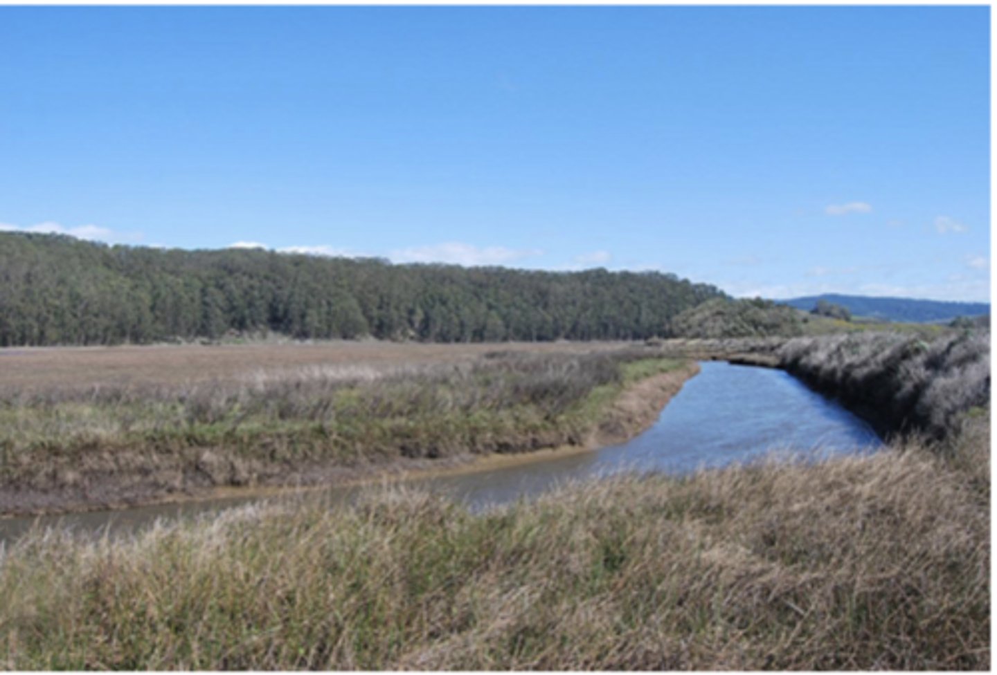 <p>slow flow, laminar, faster in the middle, slower along the walls</p>