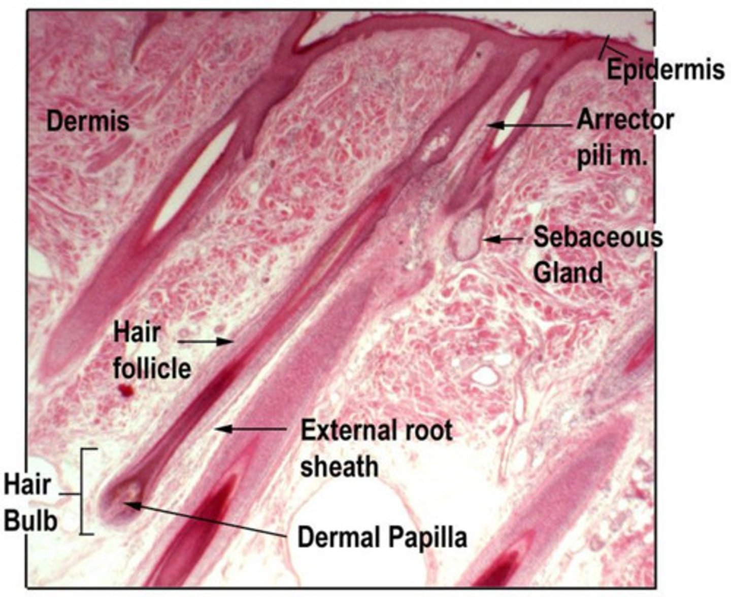 <p>What is it?</p>