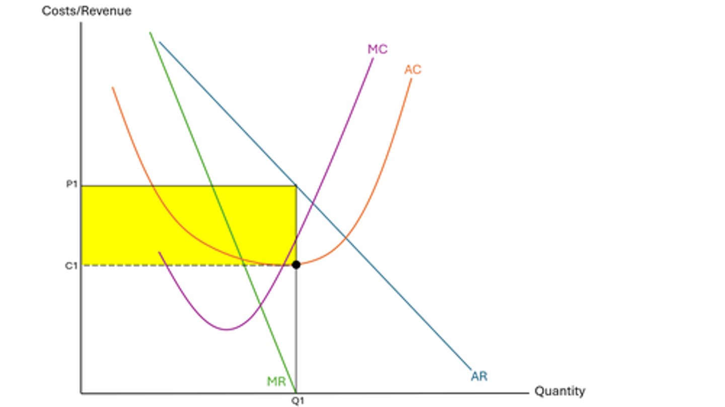 <p>- due to this price setting power, the AR curve is downwards sloping</p><p>- firm is a profit maximiser, so they'll produce where MC=MR</p><p>- SNP is shown by the yellow triangle</p>