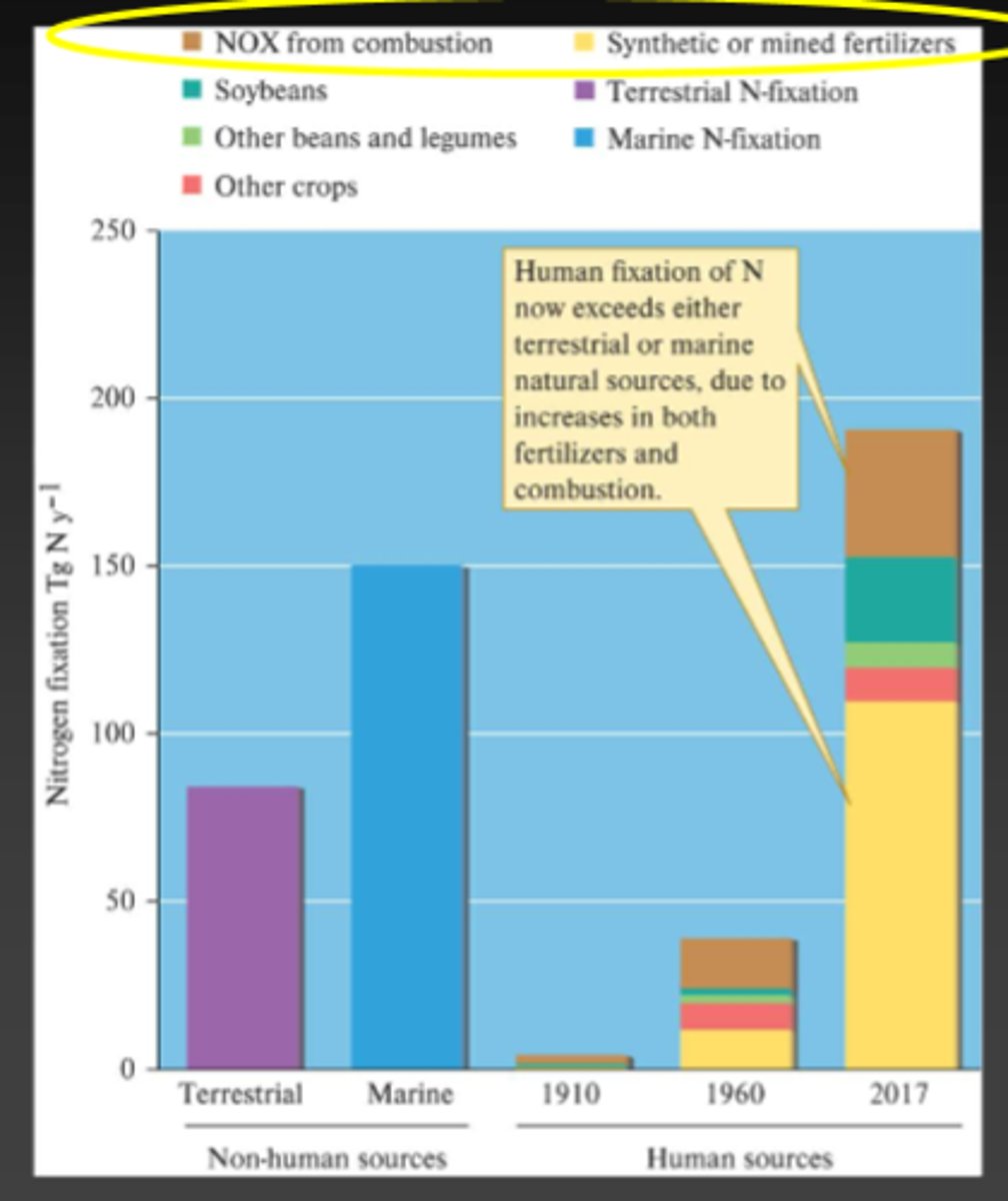 <p>Humans input about 130 TERAGRAMS of Nitrogen into the cycle, this is larger than any natural source</p>