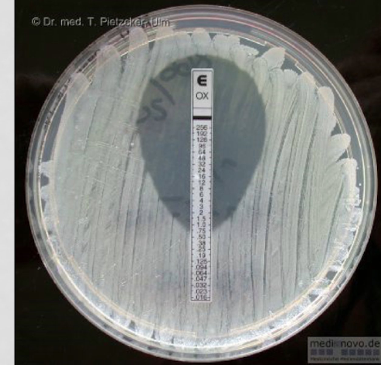 <p>utilizes a plastic strip with a pre-defined, stable gradient of antibiotic concentrations to produce a precise, drop-shaped inhibition ellipse on an inoculated agar plate</p>