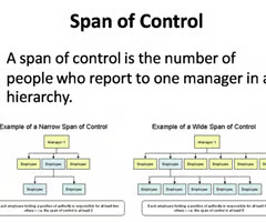 <p><span>The number of immediate subordinates one commander or leader can effectively control, supervise, or direct.</span></p>