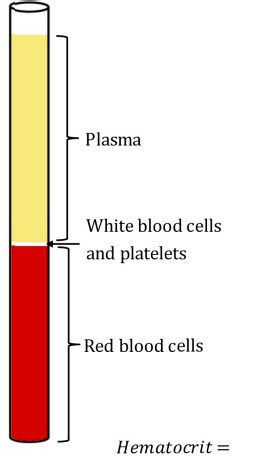 <p>Hematocrit</p>