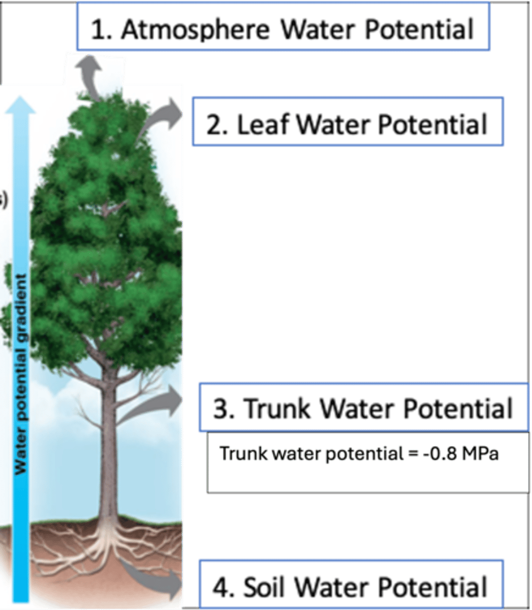 <p>-2.0</p>