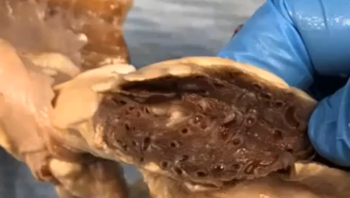<p>what the fuck</p>
