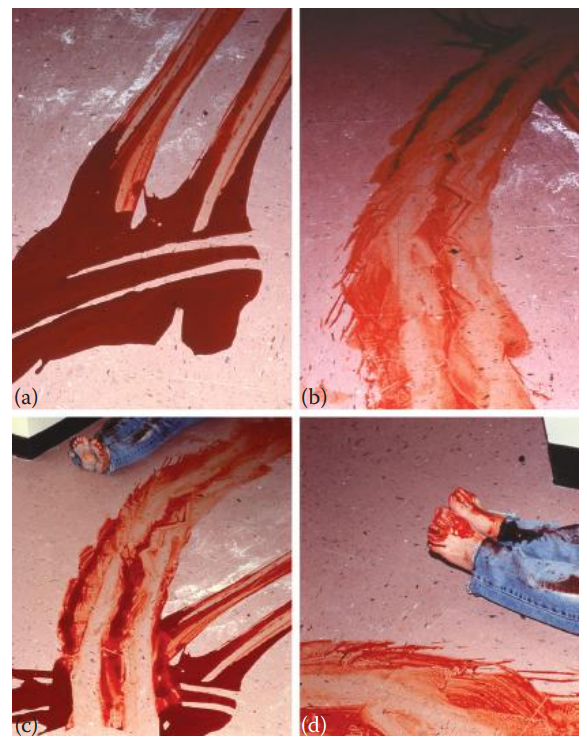 A wipe pattern caused by dragging a body through a pool of blood. (a) A pool of blood. Sections of the wipe pattern caused by dragging are shown in (b), (c), and (d).
