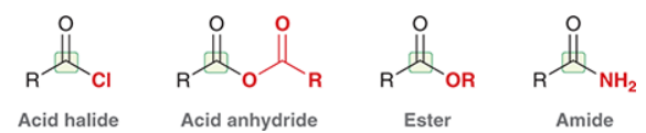 <p>acid halide, acid anhydride, ester, amide</p>