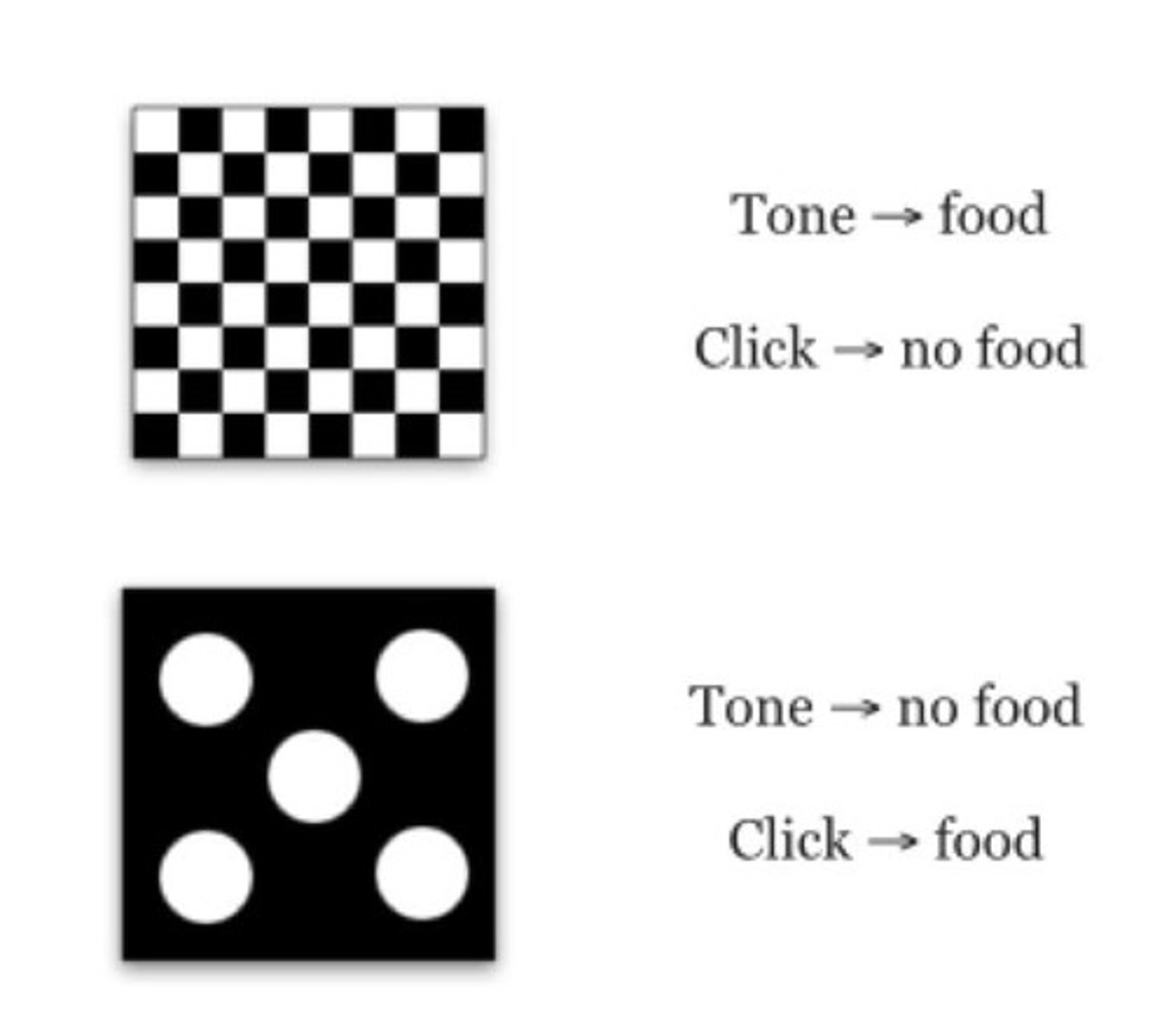 <p>They showed that rats trained with multiple configural discriminations could shift attention based on relevant stimuli, such as walls or floors in their environment.</p>
