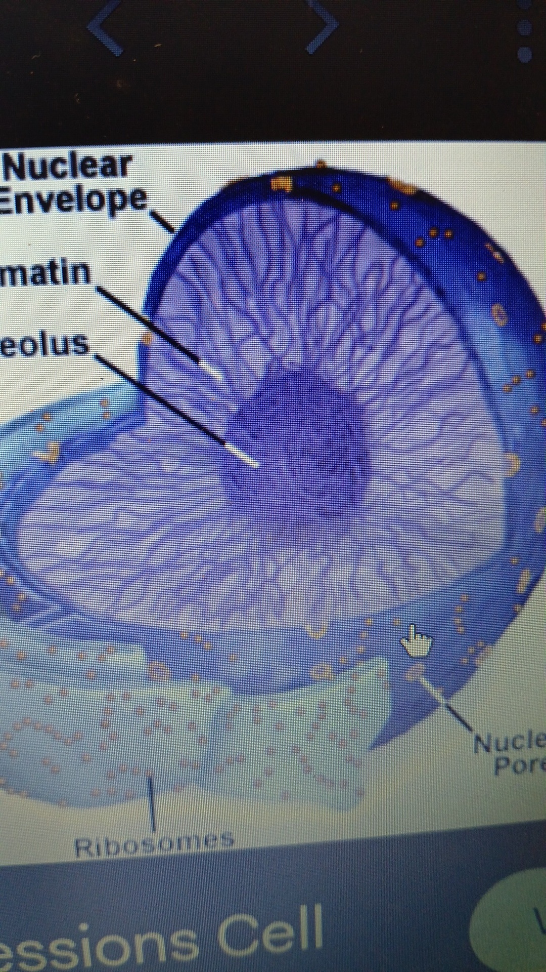 knowt flashcard image