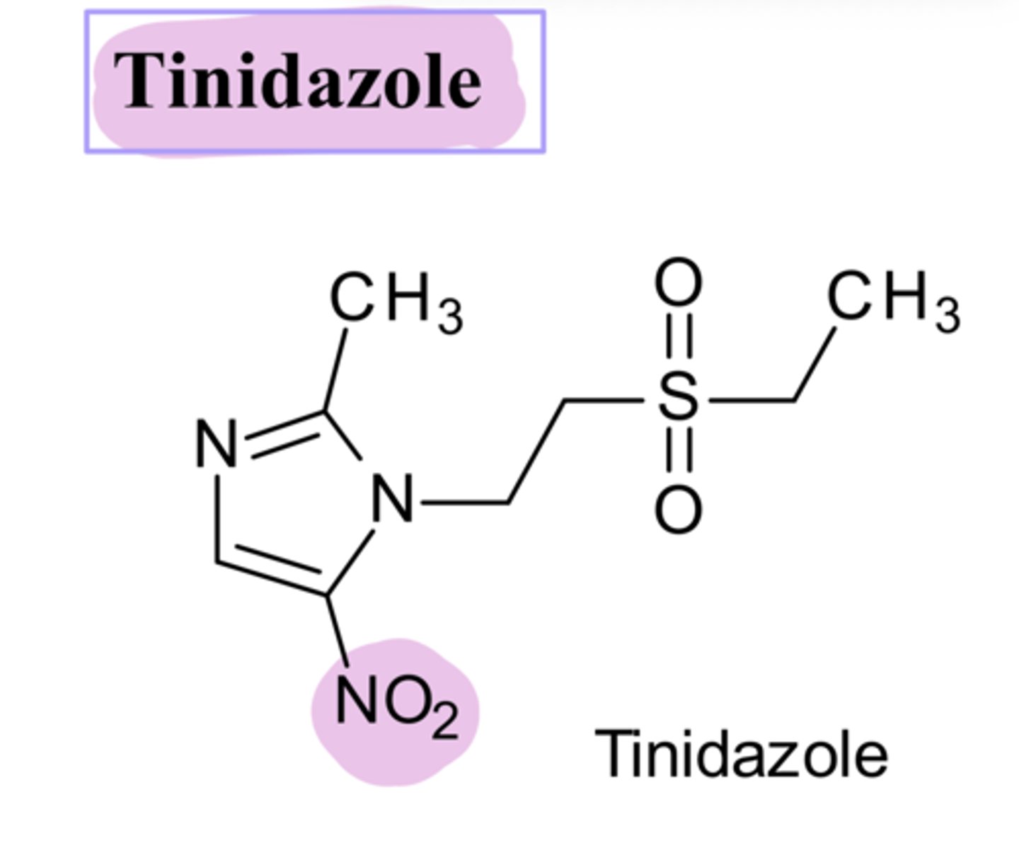 <p>Explain why Tinidazole is more selective for Giardia sp. than it is for human cells.</p><p>- ____ (such as Giardia sp.) reduce the nitro group much more efficiently than do human cells. Thus, the ROS are selectively generated in Giardia lamblia.</p>