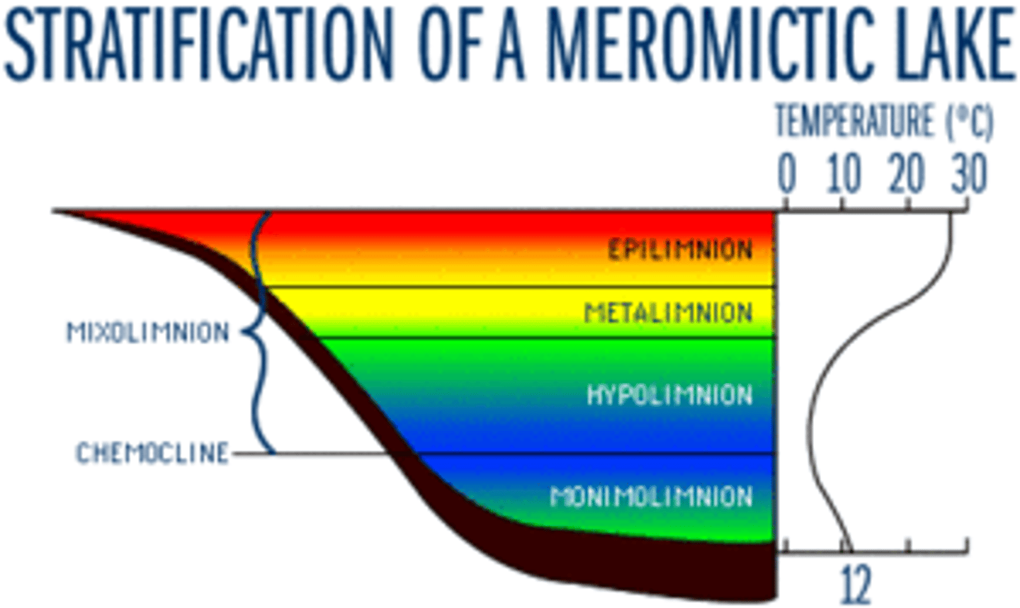 <p>Bottom layer of stagnant water in a meromictic lake that never is completely mixed, because winds are not strong enough to mix it</p>