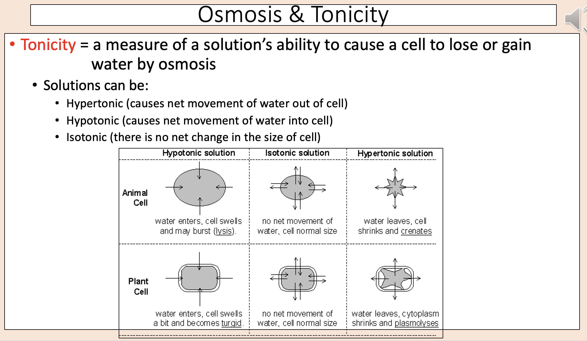 <p><span><span>Causes net movement of water out of cell. </span></span></p>