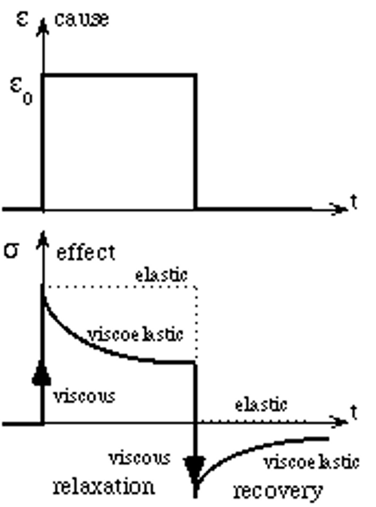 <p>this figure best shows which viscoelastic phenomenon? </p>