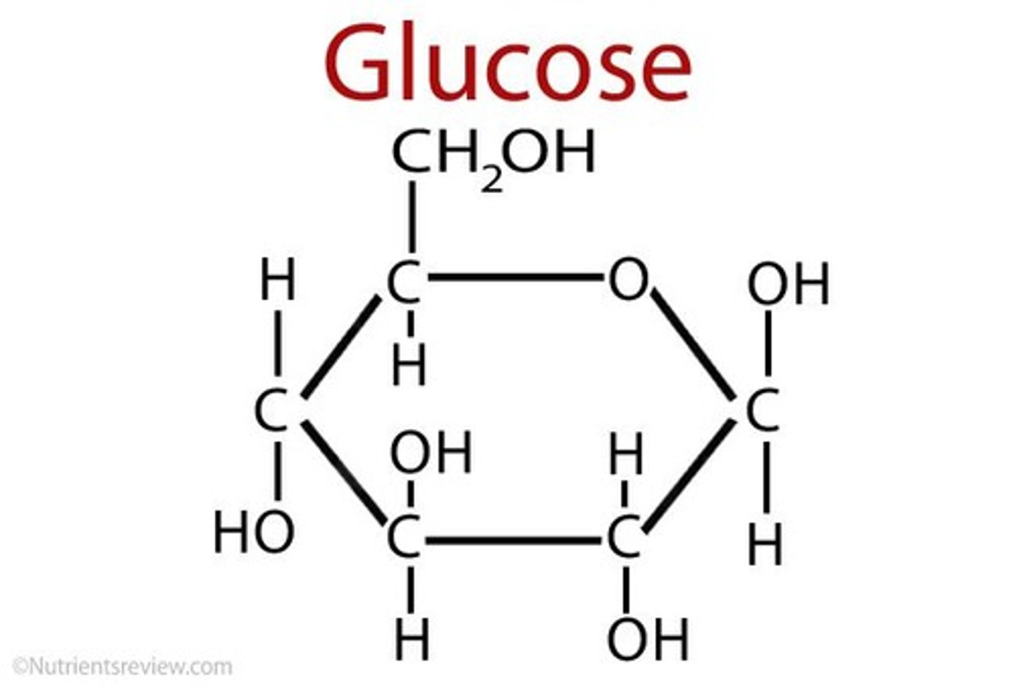 <p>Glucose is oxidized and oxygen is reduced.</p>