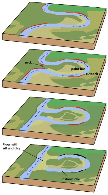<ul><li><p>water flows in a curvy, bendy path like a snake</p></li><li><p>gets more exaggerated as time goes on</p></li><li><p>process of deposition and erosion</p><ul><li><p>point bars</p><ul><li><p>a low, curved ridge of sand and gravel along the inner bank of a meandering stream</p></li></ul></li><li><p>cut banks</p><ul><li><p>located on the outside of stream bend. shaped like a small cliff and formed by the erosion of soil as the stream collides with the river bank</p></li></ul></li><li><p>oxbow lakes</p><ul><li><p>starts out as a curve or meander in a river, however, over time the lake finds a shorter course to follow thus cutting off the meander and it becomes a oxbow lake</p></li></ul></li></ul></li></ul>