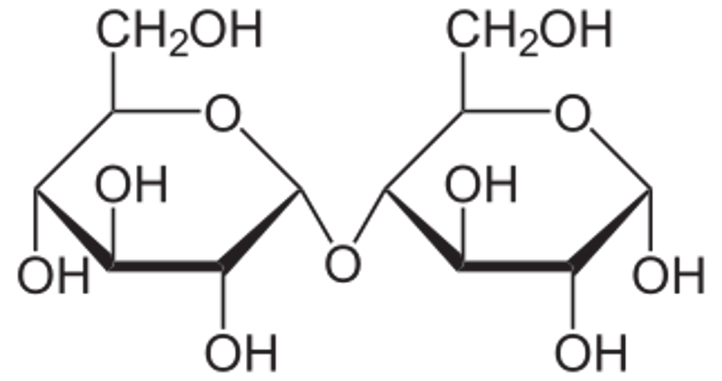 <p>(A) α-Glc1,4-Glc</p><p>α-Glc1,4-Glc is the structure of maltose.</p>