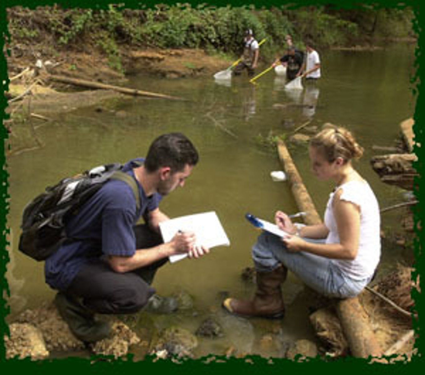<p>The science of the interactions between the physical, chemical, and biological components of the environment, including their effects on all types of organisms but more often refers to human impact on the environment.</p>