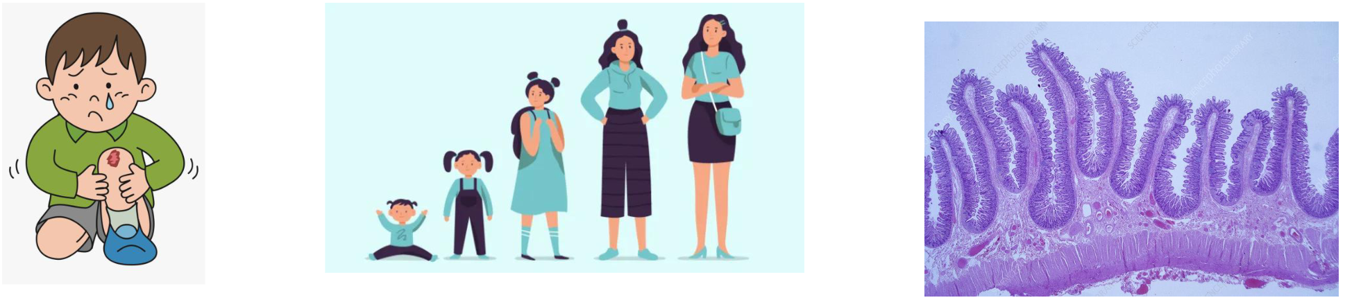 <ul><li><p><span><span>In response to external signals</span></span></p></li><li><p><span><span>When internal requirements are met - does not divide unless ready</span></span></p><ul><li><p><span><span>DNA replication is complete</span></span></p></li><li><p><span><span>The cell is large enough to divide into two</span></span></p></li></ul></li><li><p><span><span>Uncontrolled division is dangerous and can lead to cancer</span></span></p></li></ul><p></p>