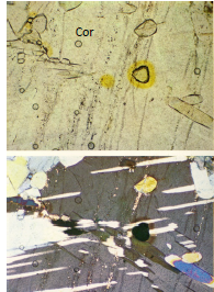 term image